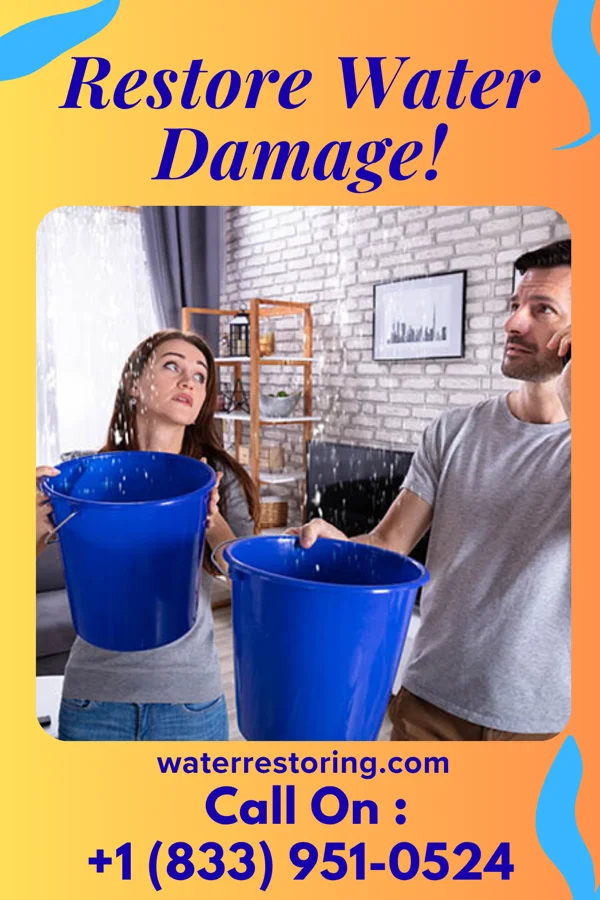 water restoration Prestige Water Repair Experts Kilbourne