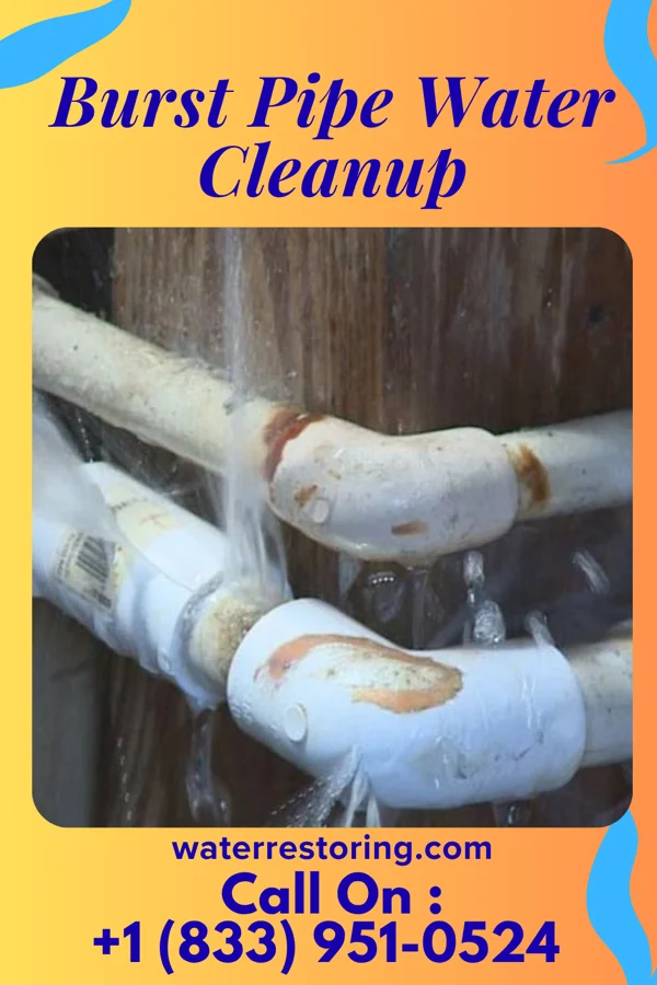 Burst Pipe Water Cleanup in Kilbourne, IL