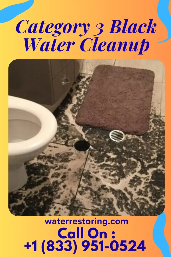 Category 3 Black Water Cleanup in Kilbourne, IL